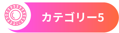 カテゴリー5
